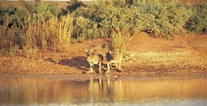 Riverland
