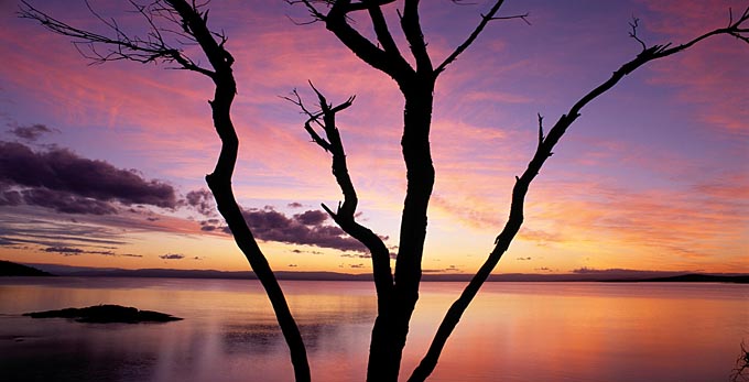 Freycinet National Park, Northern Tasmania