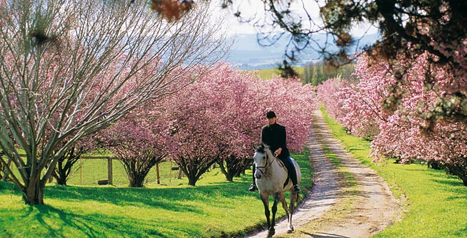 Northern Tasmania