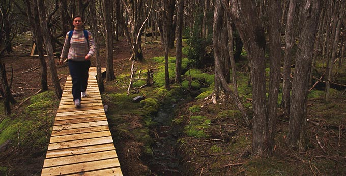 Northern Tasmania