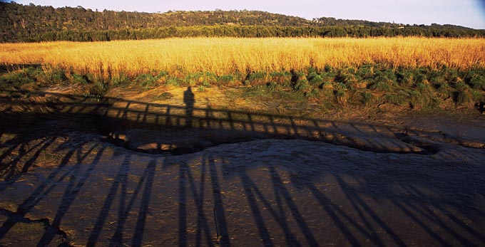 Northern Tasmania