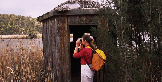 Tamar Island, Northern Tasmania