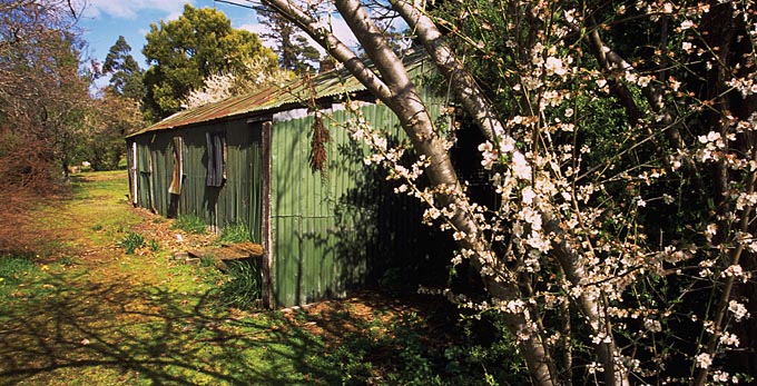 Tamar Island, Northern Tasmania