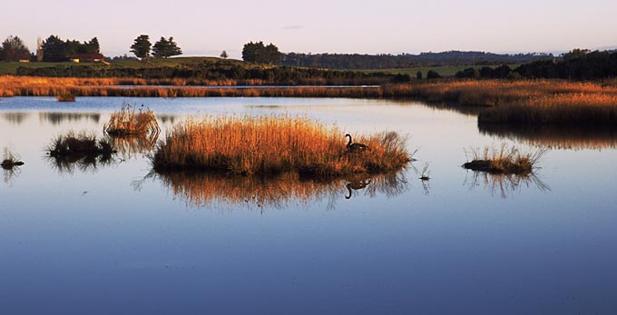 Tamar Island, Northern Tasmania
