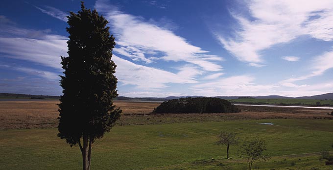 Tamar Island, Northern Tasmania