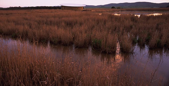 Tamar Island, Northern Tasmania