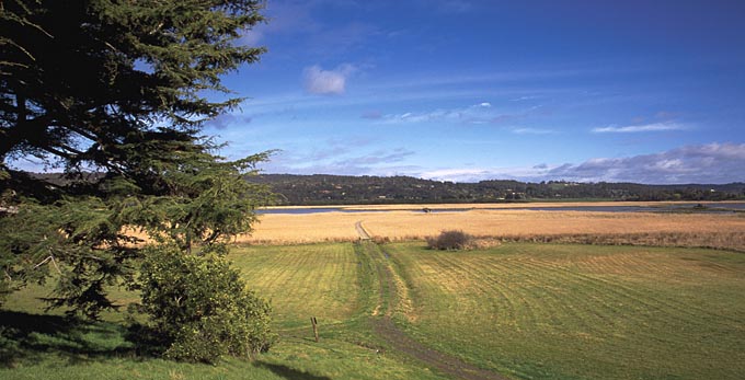Tamar Island, Northern Tasmania