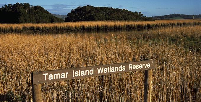 Tamar Island, Northern Tasmania