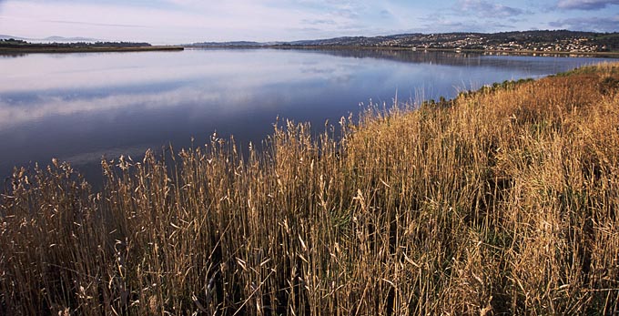 Tamar Island, Northern Tasmania