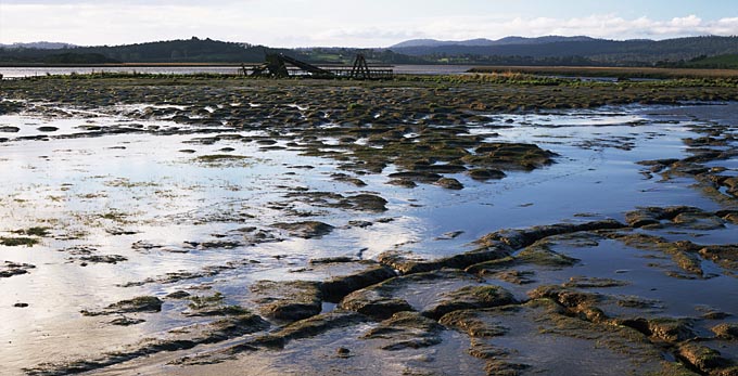 Tamar Island, Northern Tasmania