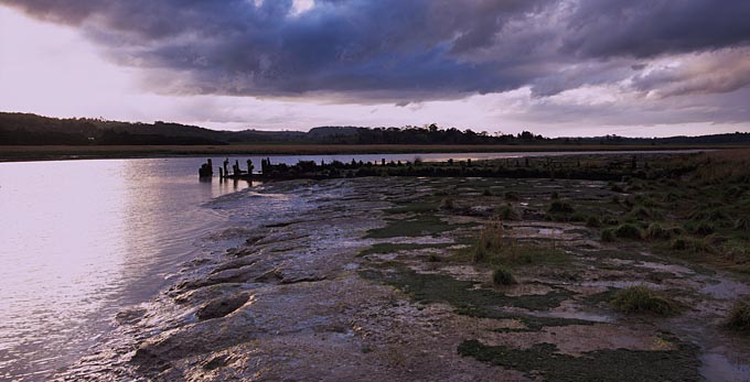 Tamar Island, Northern Tasmania