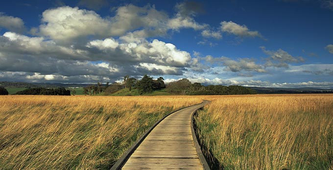 Tamar Island, Northern Tasmania