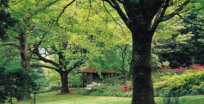 Daylesford and the Macedon Ranges