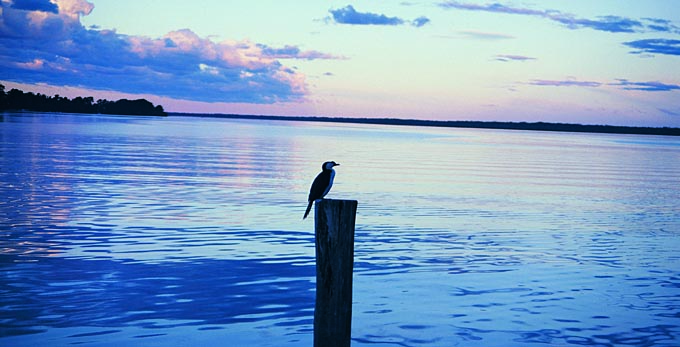 Metung, Gippsland