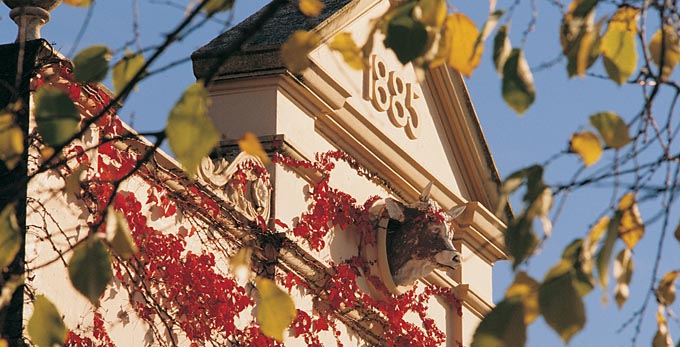 Ballarat, Goldfields
