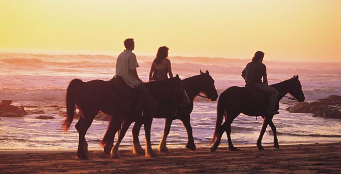 Anglesea - sunrise/sunset beach coastal horse riding