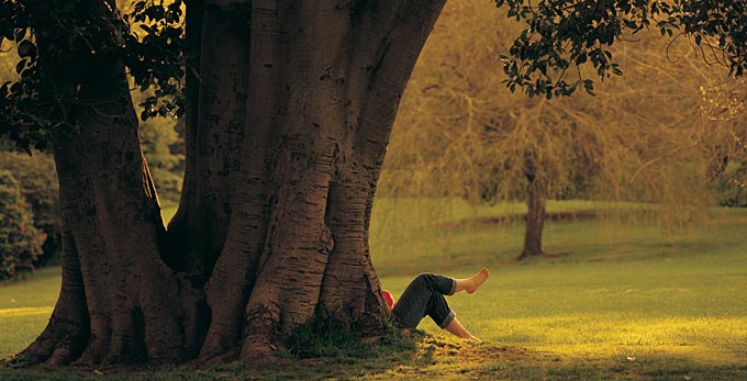 Fitzroy Gardens, Melbourne - gardens parks