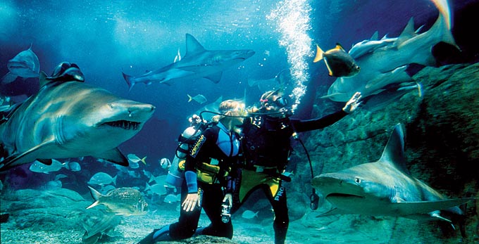 Melbourne Aquarium, Melbourne - marine life zoos