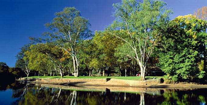 The Murray -