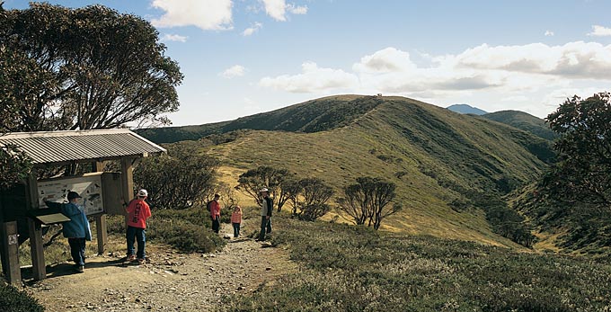 Cathedral Ranges, Victoria's High Country - high country bushwalking