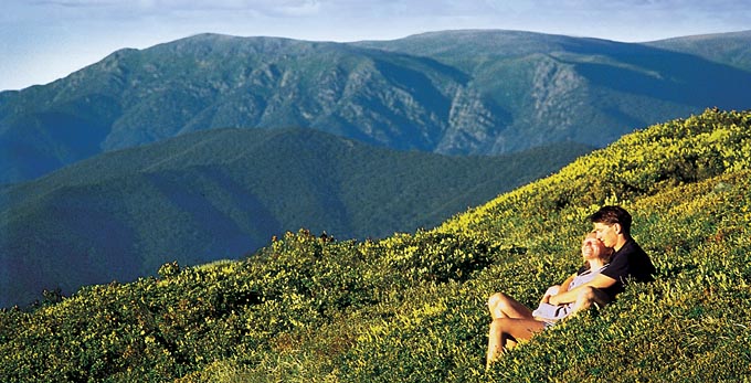 Falls Creek - high country mountains bushwalking