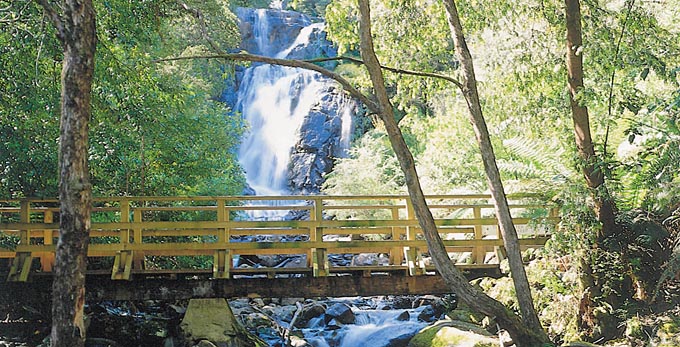 Marysville - river/creek waterfall forest