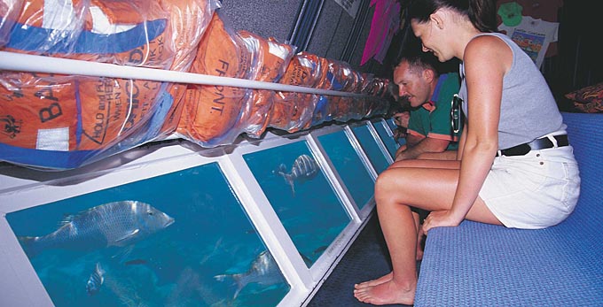 Australia's Coral Coast - marine life