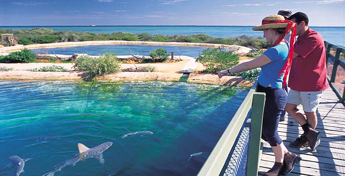 Denham, Australia's Coral Coast
