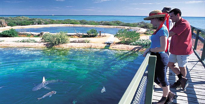 Denham, Australia's Coral Coast