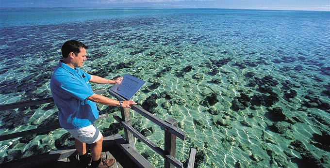 Denham, Australia's Coral Coast - reef