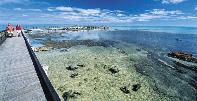 Denham, Australia's Coral Coast - reef