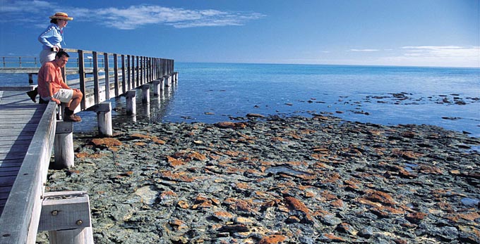 Denham, Australia's Coral Coast - bay/harbour reef