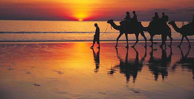 Broome, Australia's North West - sunrise/sunset beach other animals