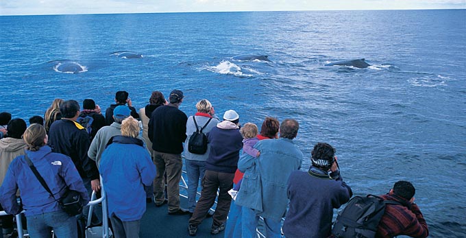 Australias South West