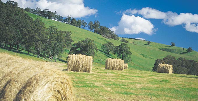 Balingup, Australias South West
