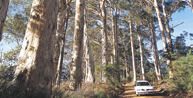 Australias South West