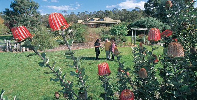 Mount Barker, Australias South West