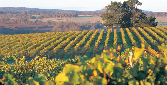Mount Barker, Australias South West