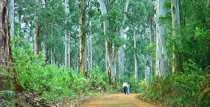 Pemberton, Australias South West