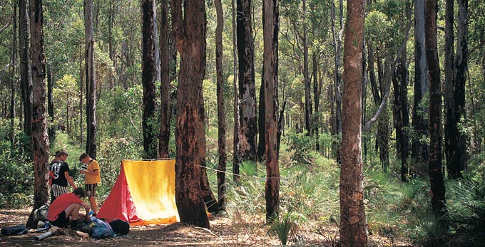Experience Perth - forest camping