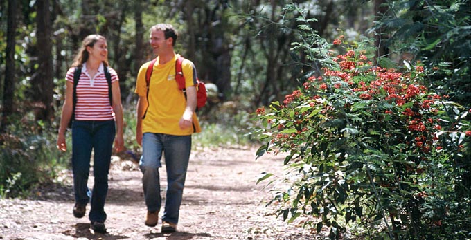 Experience Perth - forest bushwalking