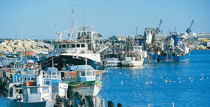 Experience Perth - bay/harbour coastal boating