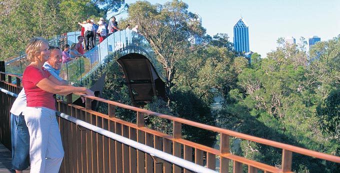 Experience Perth - forest bushwalking