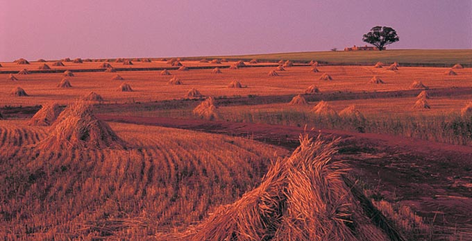 Experience Perth - landscape sunrise/sunset rural