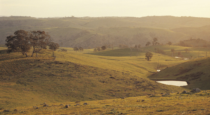 Canyonleigh, Capital Country - landscape rural