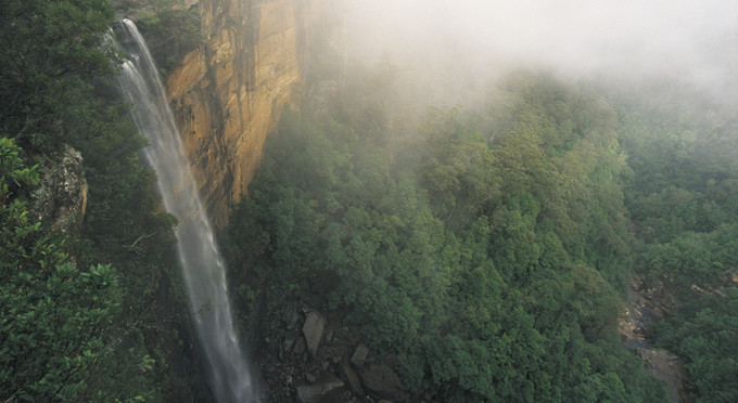 Morton National Park, Capital Country - landscape waterfall forest
