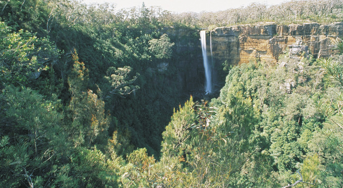 Morton National Park, Capital Country - landscape waterfall forest