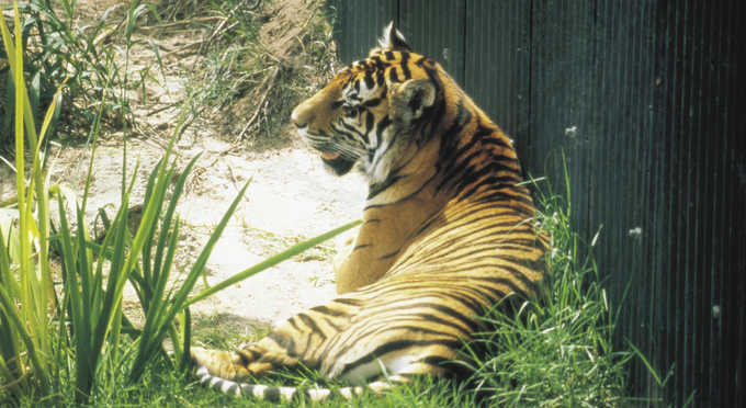Central NSW - zoos