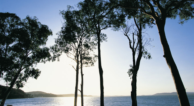Shoal Bay, North Coast NSW - coastal