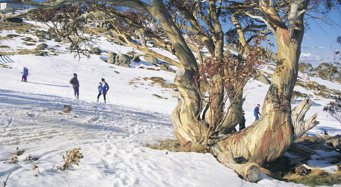 Thredbo, Snowy Mountains - high country mountains snow adventure & extreme